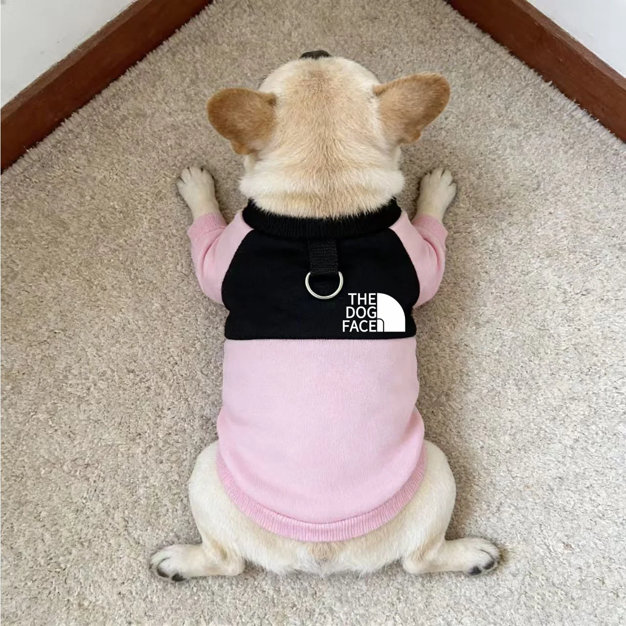 강아지 기모 겨울옷 PET024 더 도그페이스 배색 강아지 맨투맨