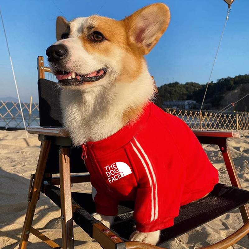 강아지 고양이 기모 맨투맨 더 도그 페이스 PET004 가을 겨울 기모 반려견 맨투맨 더 도그 페이스
