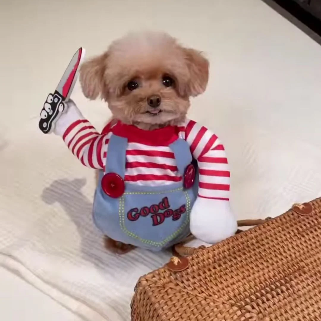 강아지 할로윈 코스튬 PET039 할로윈 이벤트 코스튬 반려동물 반전 변신 코스프레 의상